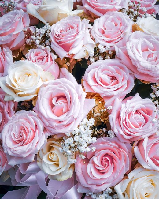 A close-up view of a floral arrangement featuring numerous soft pink and cream roses with layered petals, accented by small white baby's breath flowers. The roses are arranged in a compact, rounded bo