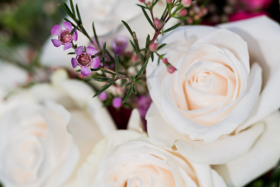 A close-up of a floral arrangement featuring white roses with soft, creamy petals arranged in a compact, rounded bouquet. Interspersed among the roses are sprigs of small purple-pink wax flowers with 